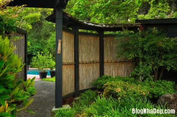 Bình yên & thư giãn trong khu vườn Nhật