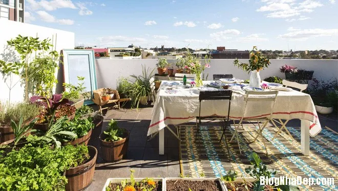 Cách bố trí vườn trên sân thượng cực chất cho nhà nhỏ