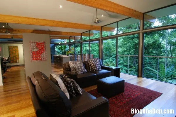 HP Tree House – Ngôi nhà trên cây tiện nghi sang trọng miền nhiệt đới