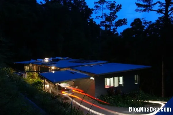 HP Tree House – Ngôi nhà trên cây tiện nghi sang trọng miền nhiệt đới