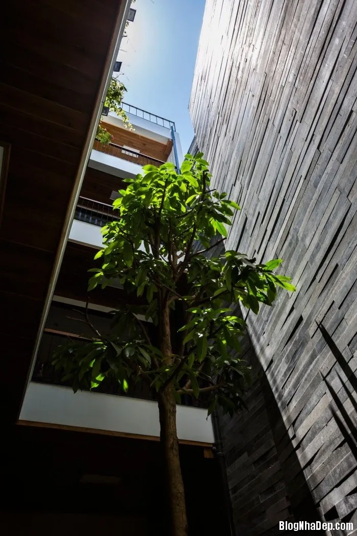 Mẫu ngôi nhà 4 tầng với vườn cây xanh mát quanh năm ở Đà Nẵng