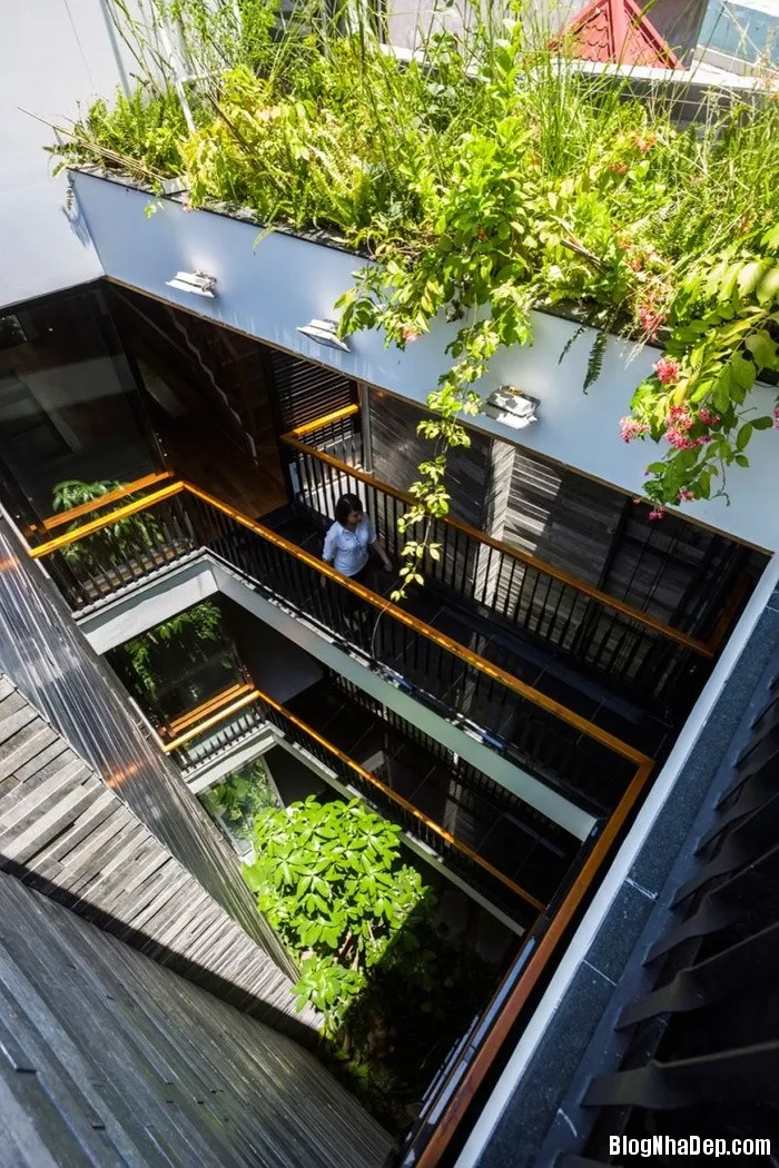 Mẫu ngôi nhà 4 tầng với vườn cây xanh mát quanh năm ở Đà Nẵng