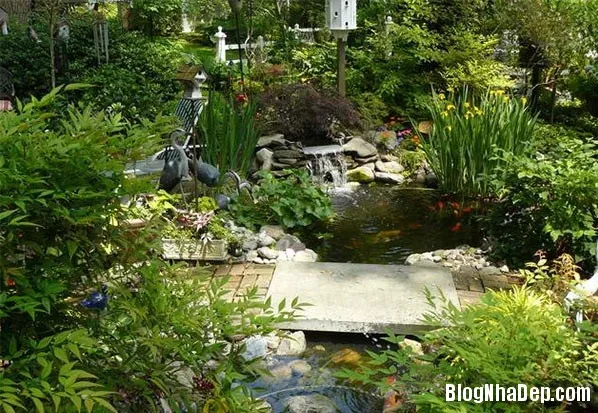 Thiết kế ao nước cho sân vườn thêm mát mẻ