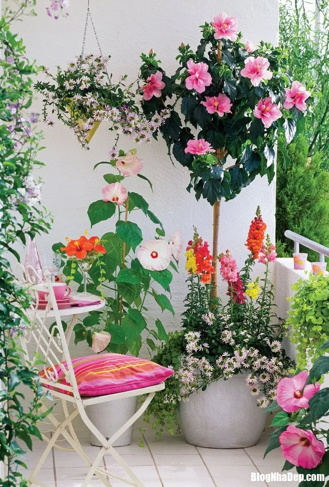 Trang trí những góc thư giãn cực bắt mắt trong nhà với hoa và cây xanh