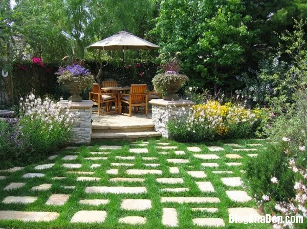 Trang trí thảm cỏ xanh mát cho khu vườn