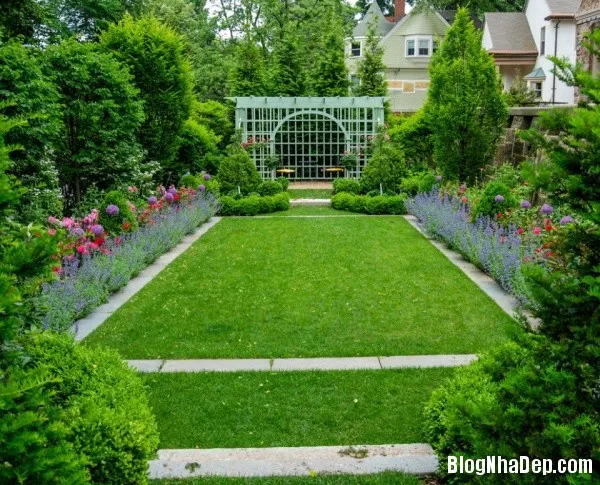 Trang trí thảm cỏ xanh mát cho khu vườn