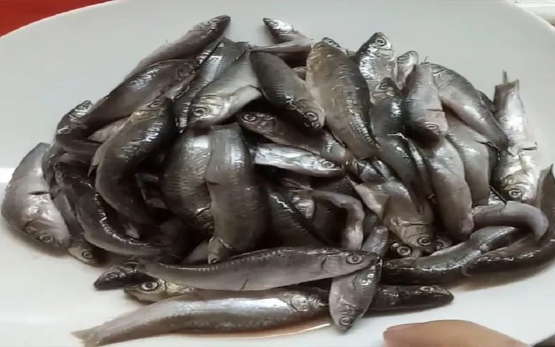 Bật mí công thức nấu món cá linh nấu canh chua thanh mát chuẩn vị miền tây