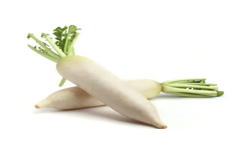 Bật mí công thức xào củ cải trắng đơn giản nhưng cực kỳ tốn cơm