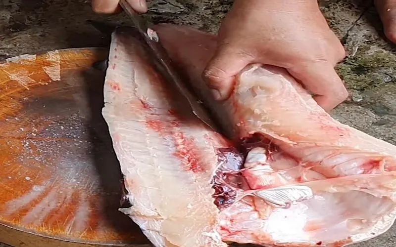 Bí quyết làm món cá mè nấu mẻ thơm ngon cực đơn giản dễ làm