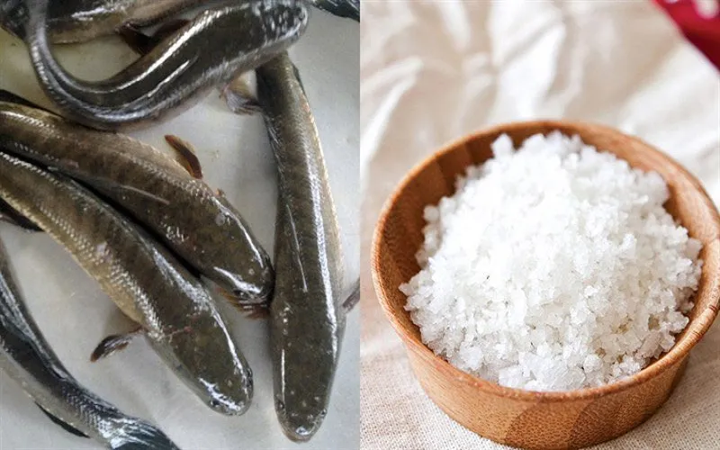 Cách làm cá lóc rang muối đơn giản hấp dẫn cho bữa cơm gia đình
