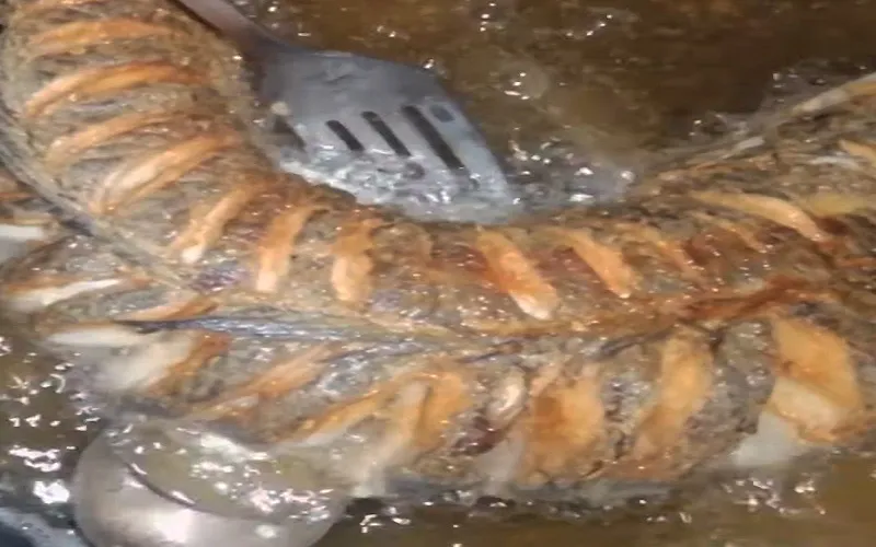 Cách làm cá lóc sốt Thái chua cay ăn cực ngon