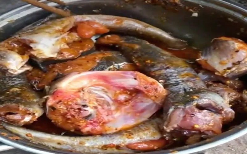 Cách làm cá ngát nướng muối ớt thơm phức chỉ 3 bước thực hiện đơn giản