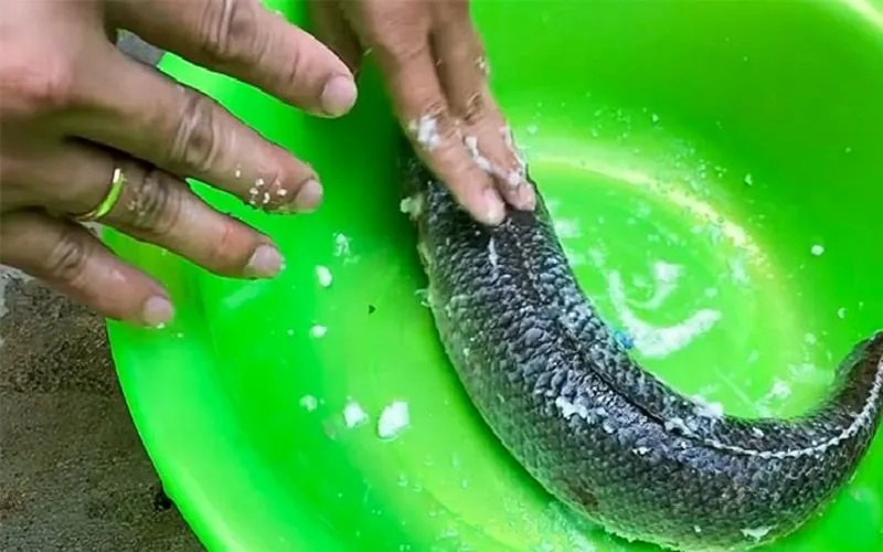 Cách làm cá trê om rau muống thơm ngon, lạ miệng