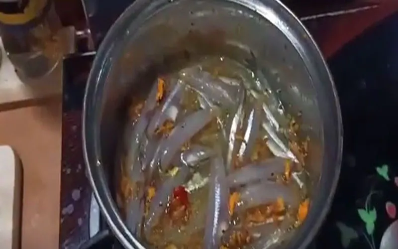 Cách làm món cá cơm kho nghệ thơm ngon đậm đà cực hao cơm