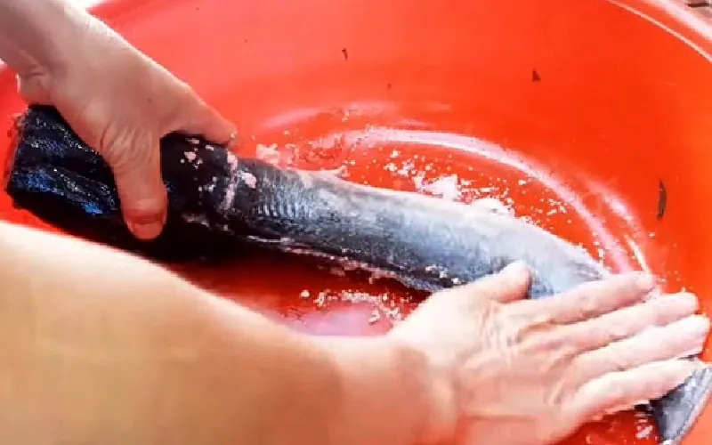 Cách ướp cá trê nướng ngon, thơm lừng cực dễ