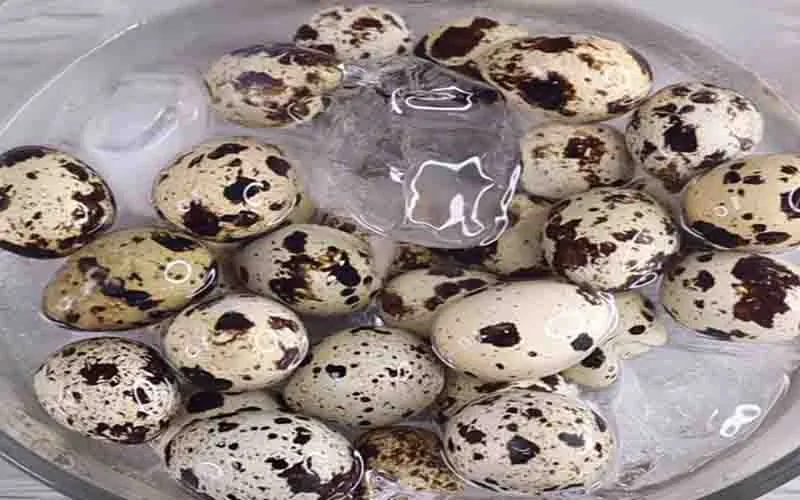 Tuyệt chiêu làm món trứng cút ngâm tương đổi vị cho cả nhà